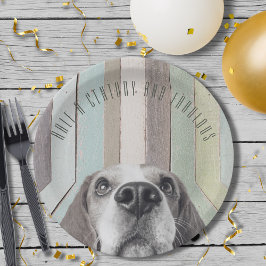 50e verjaardag een halve eeuw en fantastisch papieren bordje