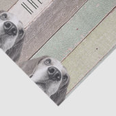 50e verjaardag een halve eeuw en fantastisch tissuepapier (Detail)