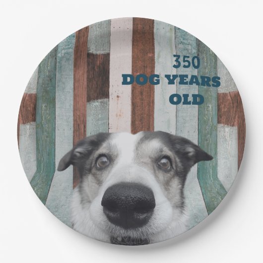 50e verjaardag Gestreepte hond Close-up Paper Bord (Voorkant)