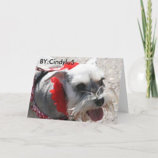 50e verjaardag kaart (Achterkant)