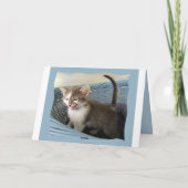 50ste verjaardag Crazy Kitten Kaart (Achterkant)