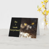 **50ste VERJAARDAG HUMOR** HAD HET NIET VERWACHT! Kaart (Gele Bloem)