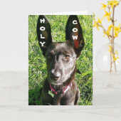 50ste VERJAARDAG HUMOR VAN BIG EARED PUP Kaart (Gele Bloem)