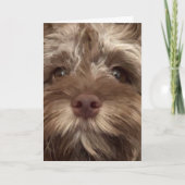 *50ste VERJAARDAG HUMOR VAN COCKAPOO Kaart (Voorkant)