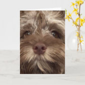 *50ste VERJAARDAG HUMOR VAN COCKAPOO Kaart (Gele Bloem)