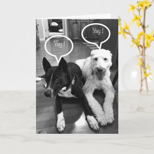 **50ste** VERJAARDAG HUMOR VAN EEN PAAR PUPS Kaart (Gele Bloem)