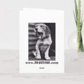 50ste verjaardag Kaart, Rodeo! Kaart (Achterkant)