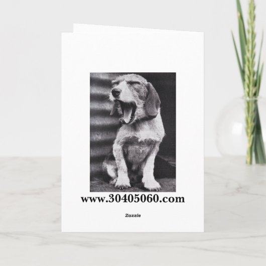 50ste verjaardag Kaart, Rodeo! Kaart (Achterkant)