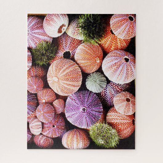 520-delige Zee Egeltjes Puzzel (Verticaal)