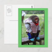 52170 BRIEFKAART (Voorkant / Achterkant)