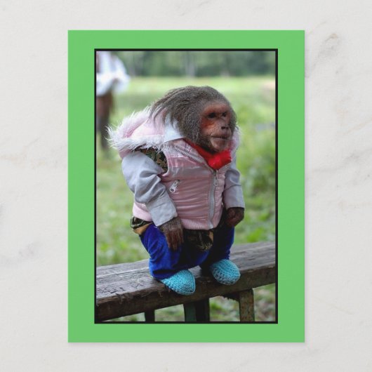 52170 BRIEFKAART (Voorkant)