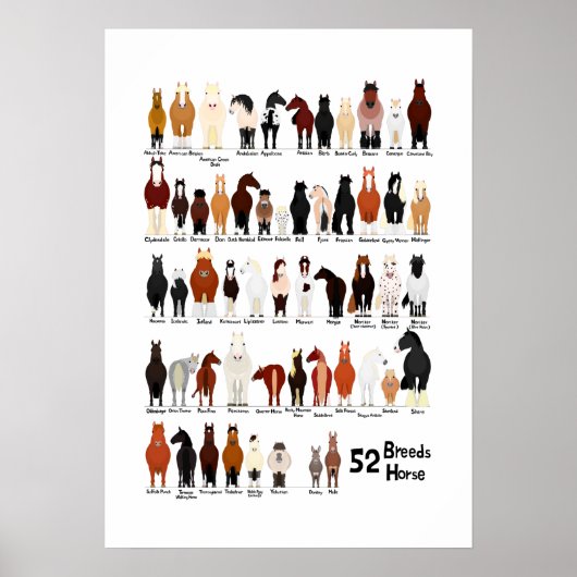 52 paardenrassen overzicht (Voorkant)