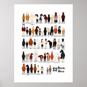52 paardenrassen poster