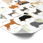 52 Poster van honden (Hoek)