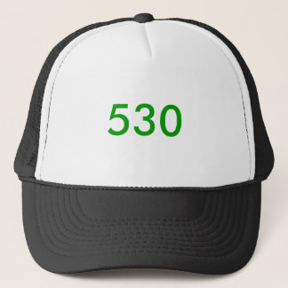530 TRUCKER PET