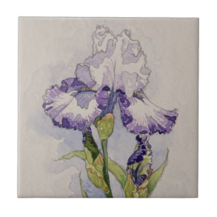 5327 Paarse en wit Iris Tegeltje
