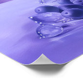 532 Stilleven Poster (Hoek)