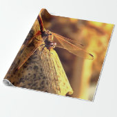 534424932Elegant Red Darter Dragonfly Insect Art Cadeaupapier (Uitgerold)