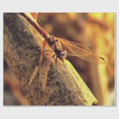 534424932Elegant Red Darter Dragonfly Insect Art Cadeaupapier (Vlak)
