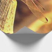 534424932Elegant Red Darter Dragonfly Insect Art Cadeaupapier (Hoek)