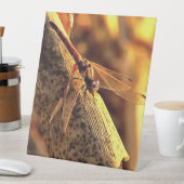 534424932Elegant Red Darter Dragonfly Insect Art Reclamebord Met Voetstuk (Insitu)