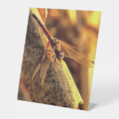 534424932Elegant Red Darter Dragonfly Insect Art Reclamebord Met Voetstuk (Voorkant)