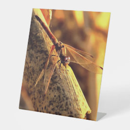 534424932Elegant Red Darter Dragonfly Insect Art Reclamebord Met Voetstuk