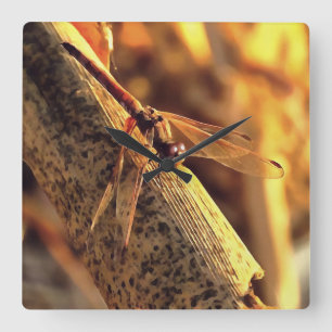 534424932Elegant Red Darter Dragonfly Insect Art Vierkante Klok