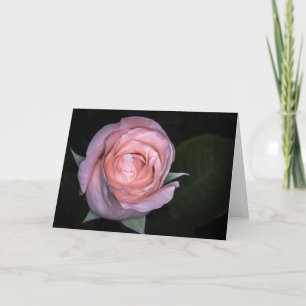 5434-Peach Rose Kaart
