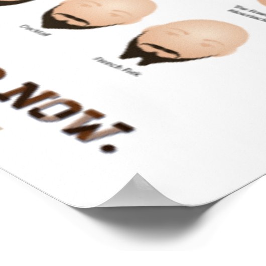 54 Faciale haarstijlen Poster (Hoek)