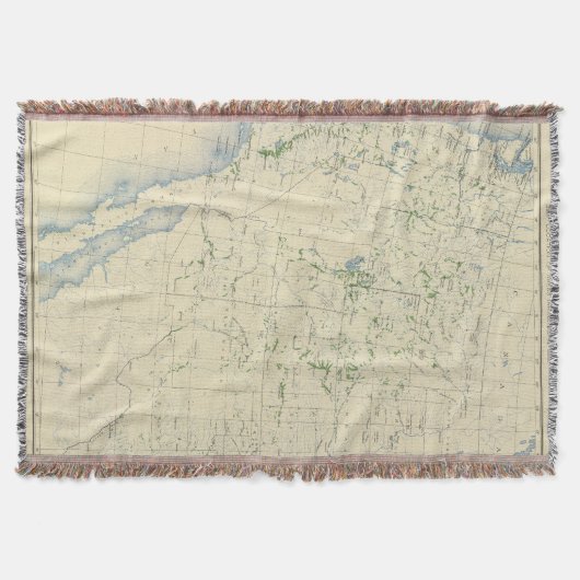 54 geïrrigeerde oppervlakten 1889 deken (Voorkant)