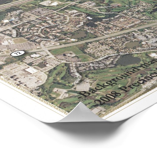 54th Illinois House District - 2008 General Poster (Hoek)