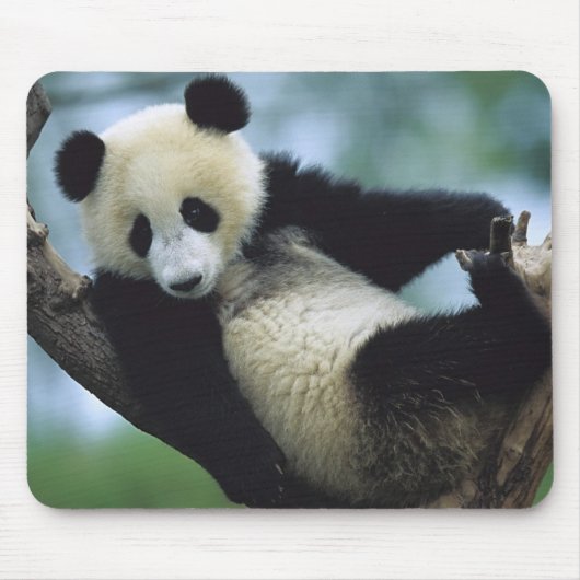 557711600wb1fp3 muismat (Voorkant)