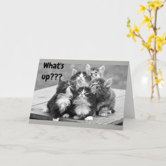 *55ste VERJAARDAG WENSEN* WAT IS ER AAN DE HAND? J Kaart (Gele Bloem)