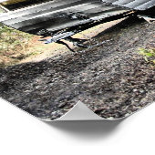 56 Shasta Print (Hoek)