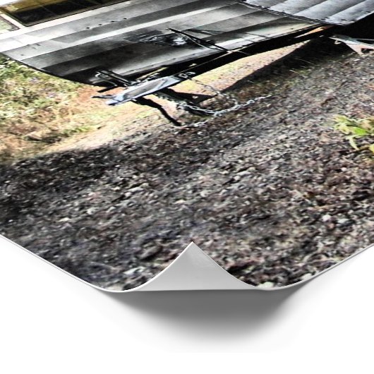 56 Shasta Print (Hoek)