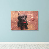 56 weken oud zwart lab canvas afdruk (Insitu (Houten vloer))