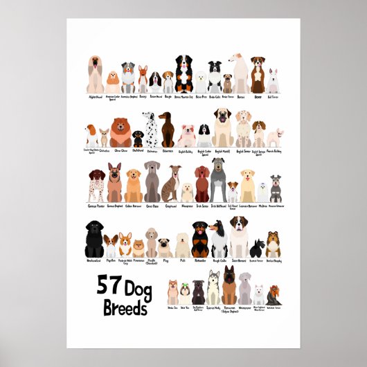 57 hondenrassen poster (Voorkant)