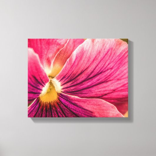 5880-Red Pansy Canvas Afdruk (Voorkant)