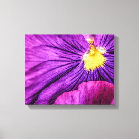 5884-Paarse Pansy Canvas Afdruk (Voorkant)