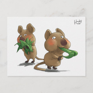 58: Quokkas Briefkaart