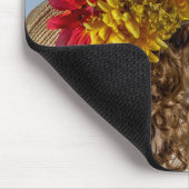 5981 - Mannequin-Revolutionary War Lady met Pet Muismat (Hoek)