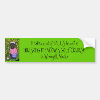 5-15-07 035, het kost veel BALLS om te golven op.. Bumpersticker