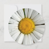 5,25 x 5,25 uitnodigingscirkel kaart (Voorkant)