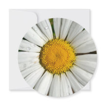 5,25 x 5,25 uitnodigingscirkel