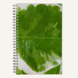 5,5 inch x 8,5 inch spiraalvormig Notitieboek voor