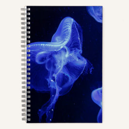 5,5-inch x 8,5-inch spiral notebook notitieboek