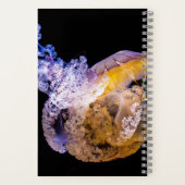 5,5-inch x 8,5-inch spiral notebook notitieboek (Achterkant)