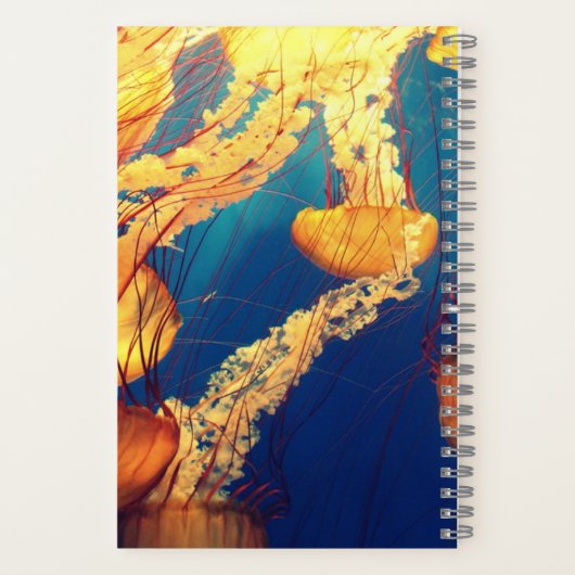 5,5" x 8,5" spiraal notebook notitieboek (Achterkant)