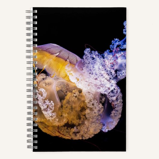 5,5" x 8,5" spiraal notitieboek (Voorkant)